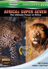 野生动物纪录非洲超级七兽