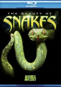 动物星球:蛇之惊艳奇观